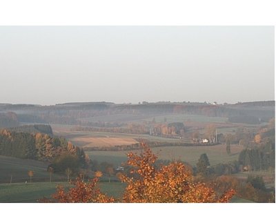 Geurolie Alphia
