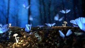 seifen düfte günstig kaufen Fantasy seifen düfte günstig kaufen Fantasy